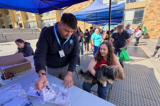 WhatsApp Image 2025-11-19 at 11.21.57.jpeg